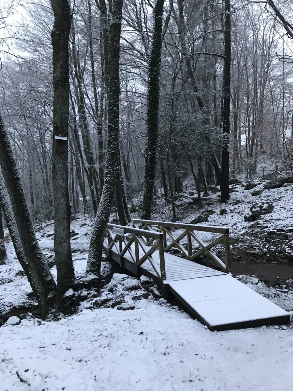 BUITEN